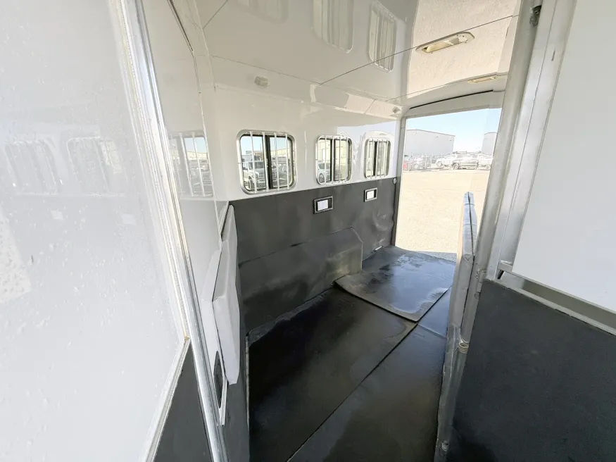 2009 Bison Stratus 3HGNLQ | Photo 21 of 24