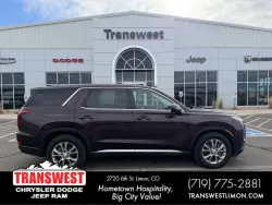 2020 Hyundai Palisade SE | Thumbnail Photo 18 of 18