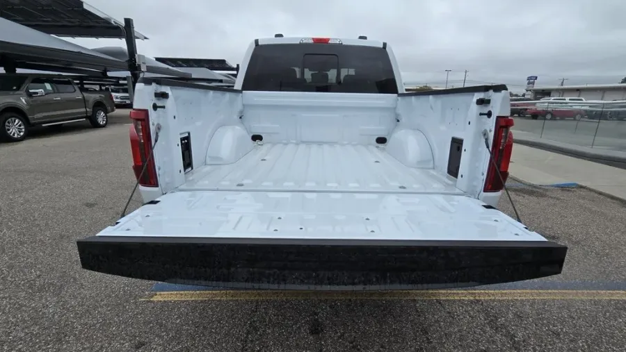 2025 Ford F-150 | Photo 8 of 29