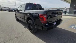 2024 Ford F-150 | Thumbnail Photo 9 of 35