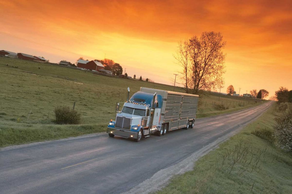 How to Ensure a Safe Haul