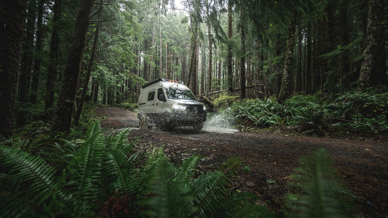 A Tiffin GH1 drives through a wooded area