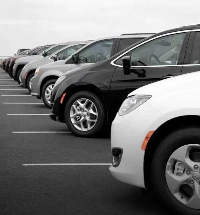 A long row of personal vehicles, each parked diagonally, in a parking lot