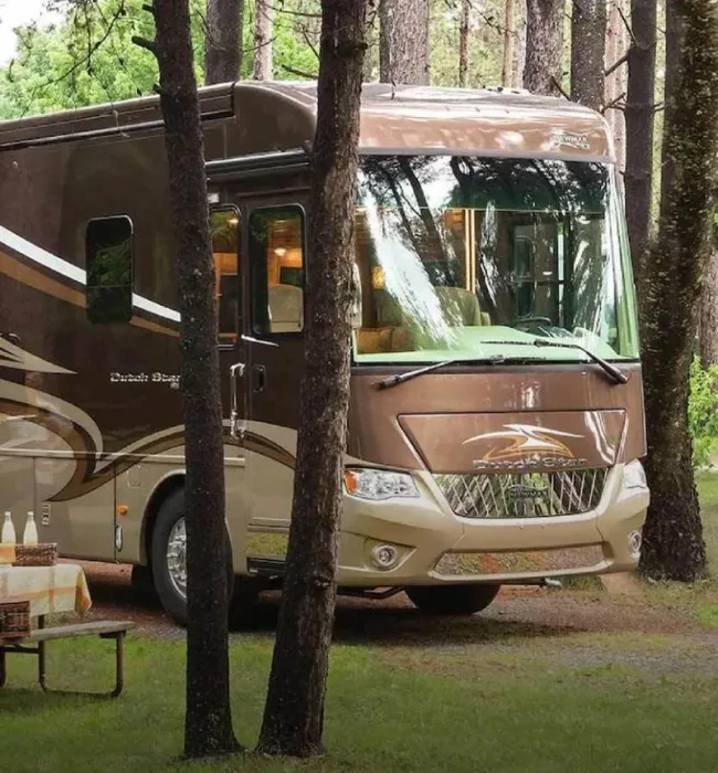 A brown RV with beige accents parked on a path in a wooded area