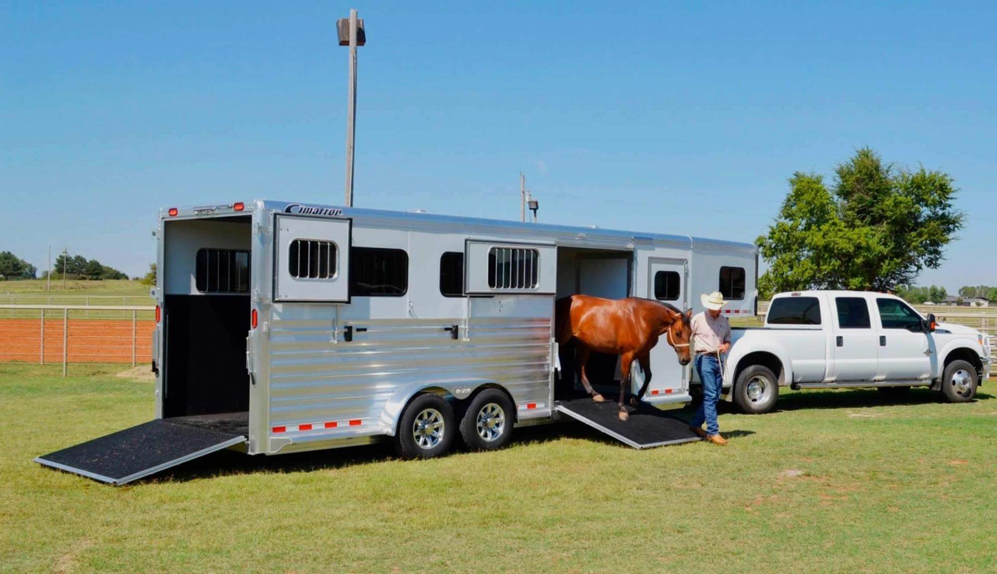 Horse exiting a horse trailer