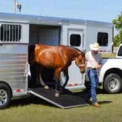 Horse & Livestock Trailers